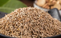 孜然包装机，给您最好的享受