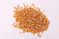 全自动颗粒包装机替人们解决了很多问题